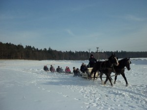 kulig016   
